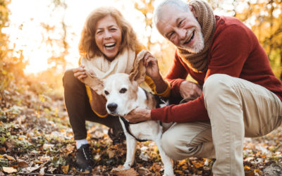 8个简单方法激活免疫力！