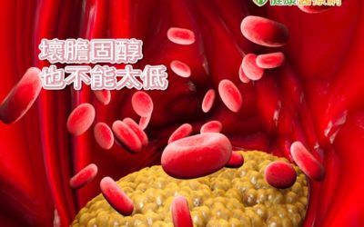 壞膽固醇越低越好？　研究：增出血性中風風險