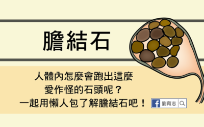 愛作怪的石頭 – 膽結石（懶人包）