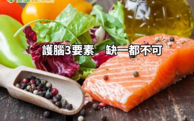 「地中海飲食」竟能護腦救智？營養師這樣說