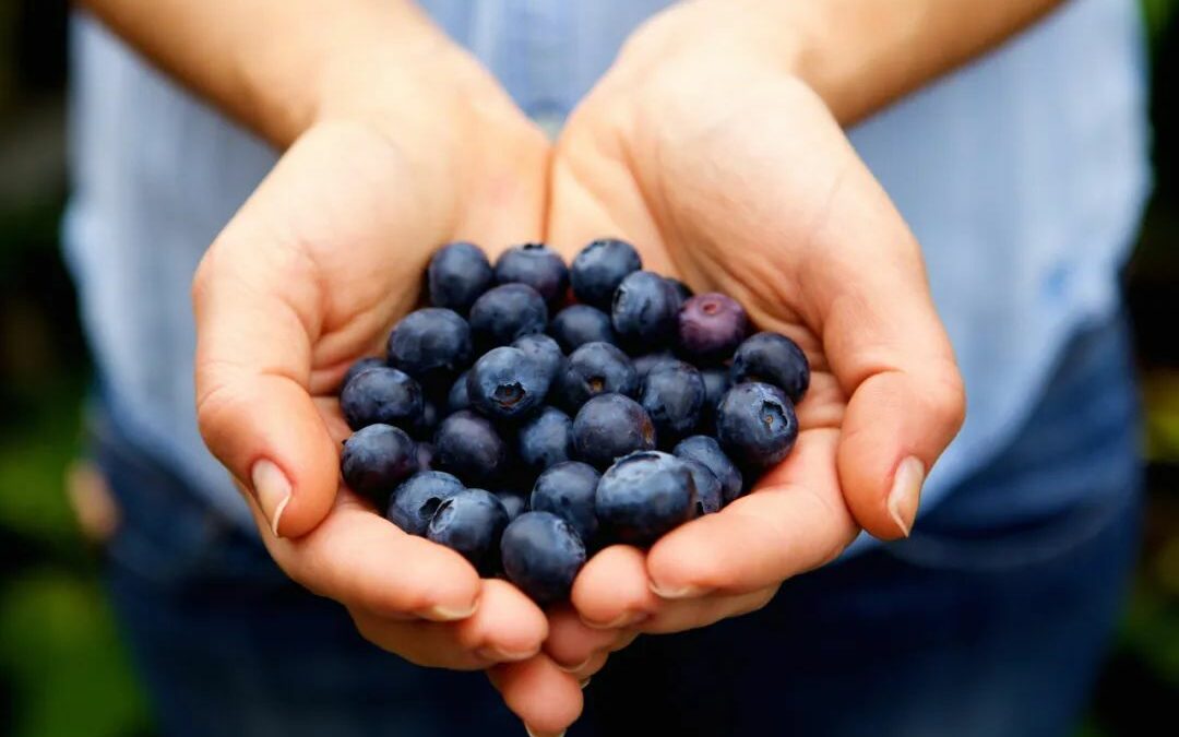 新研究: 中年时期每天吃这水果 可有效预防失智症