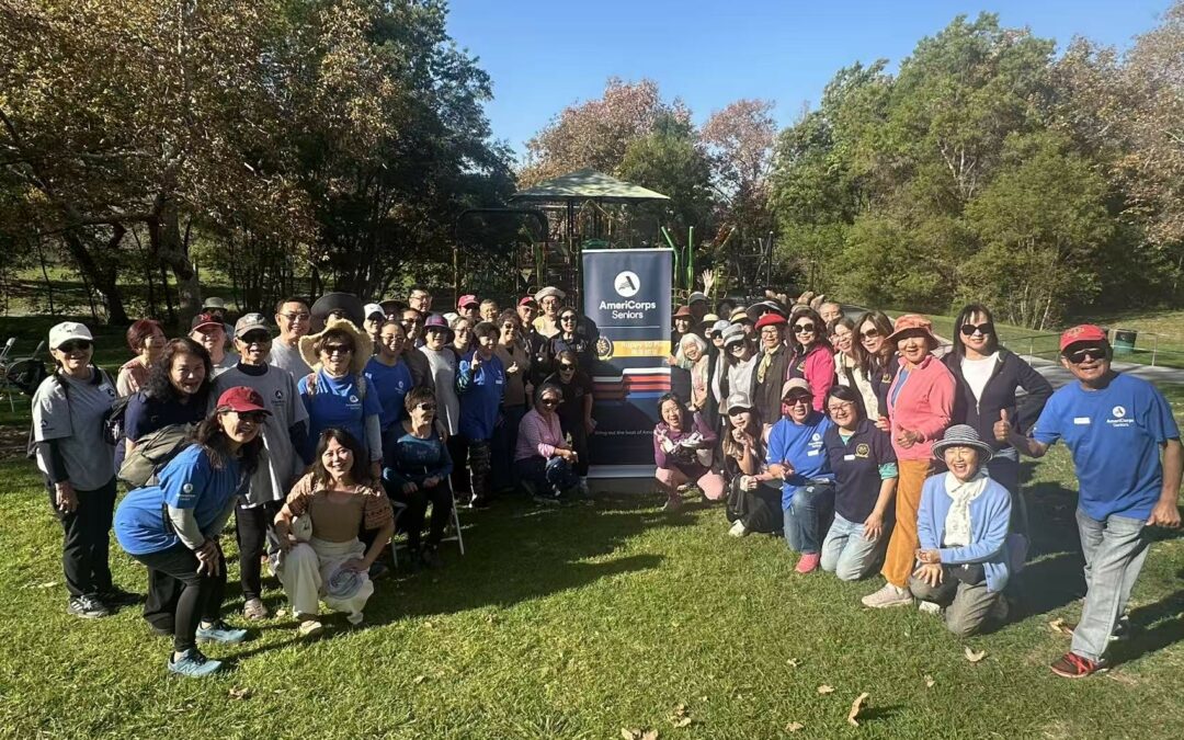 Benefits of volunteering when you are 55+